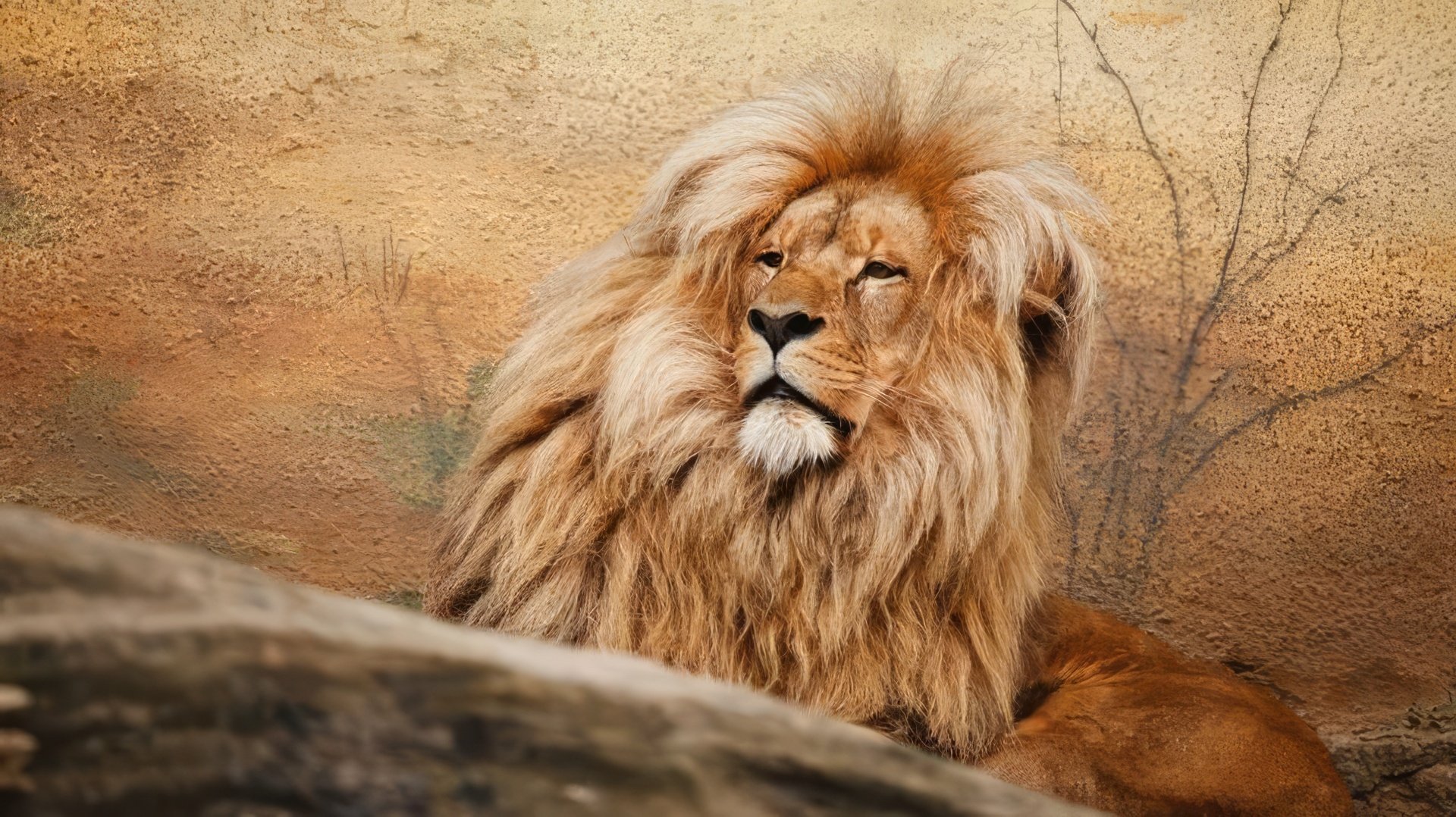 ¿Cuáles son las desventajas de un Leo en el amor y el matrimonio?