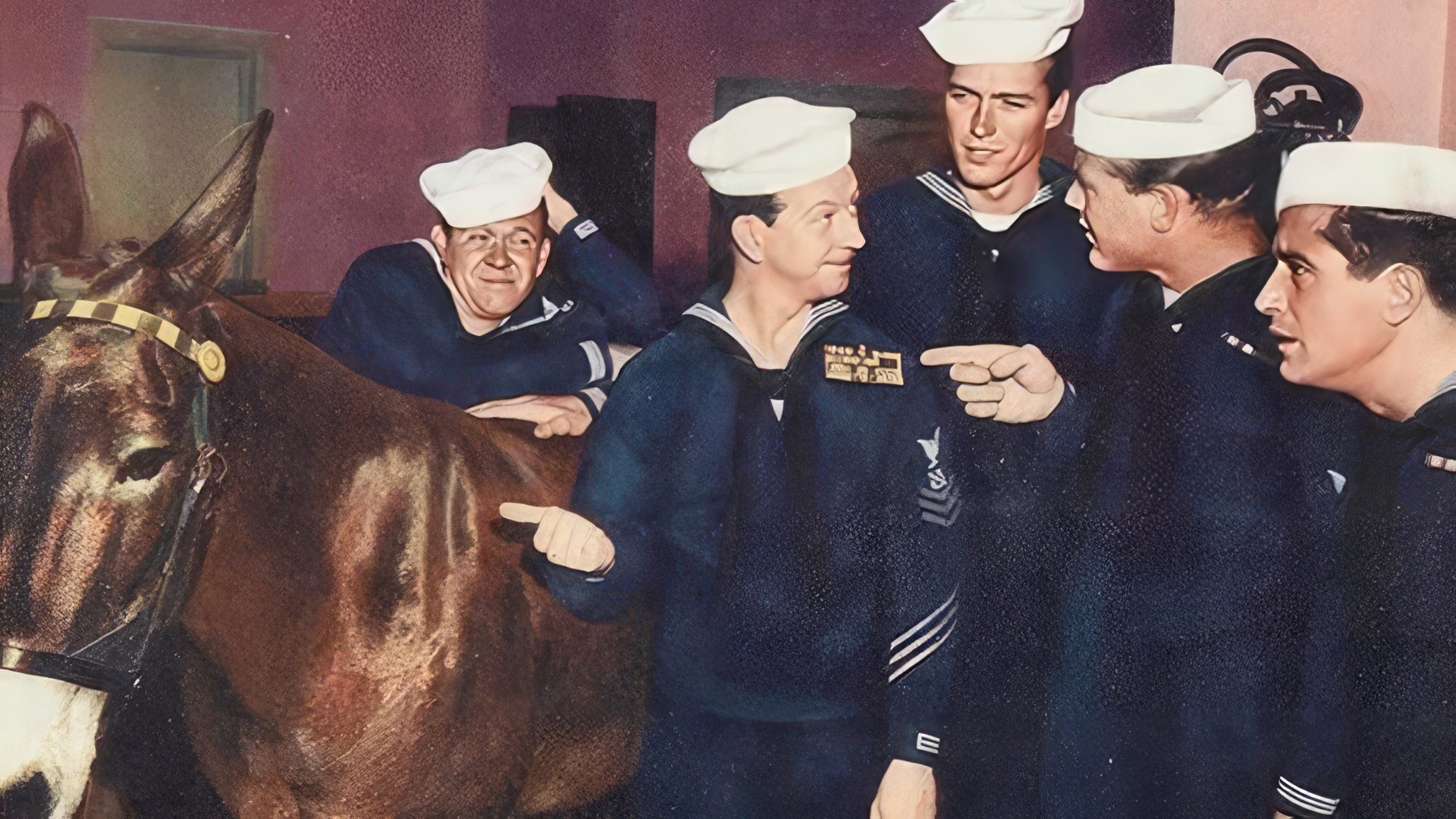 Clint Eastwood en "Francis in the Navy"