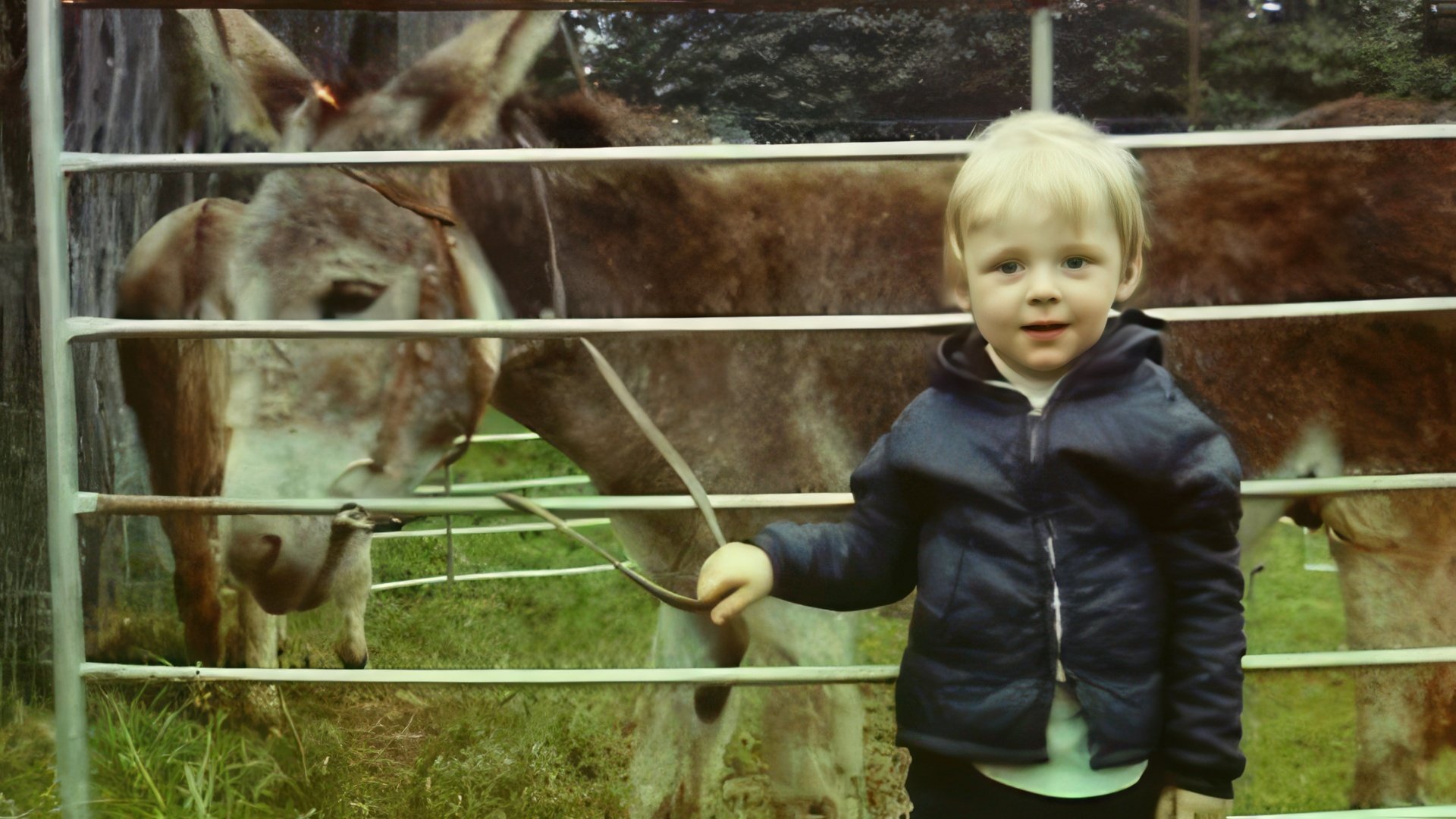 Simon Pegg en la infancia