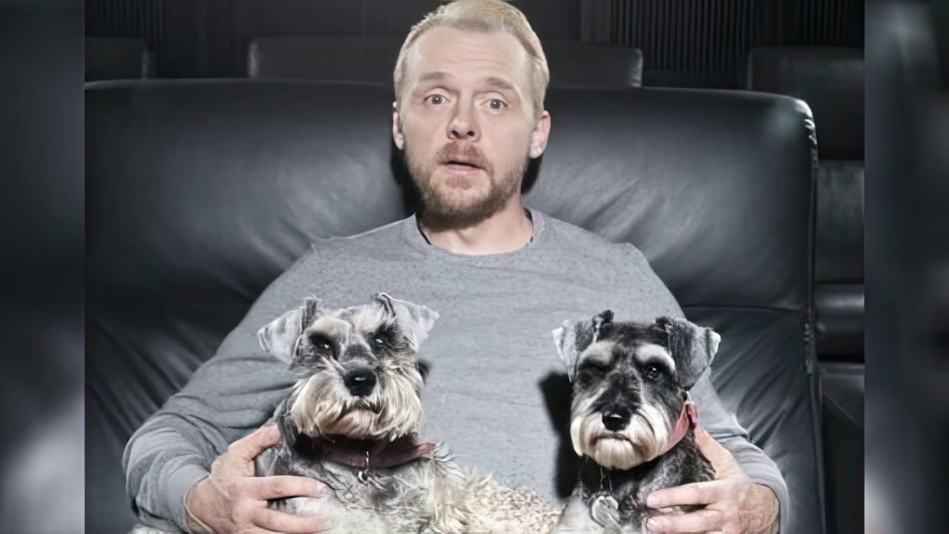 Los perros de Simon Pegg