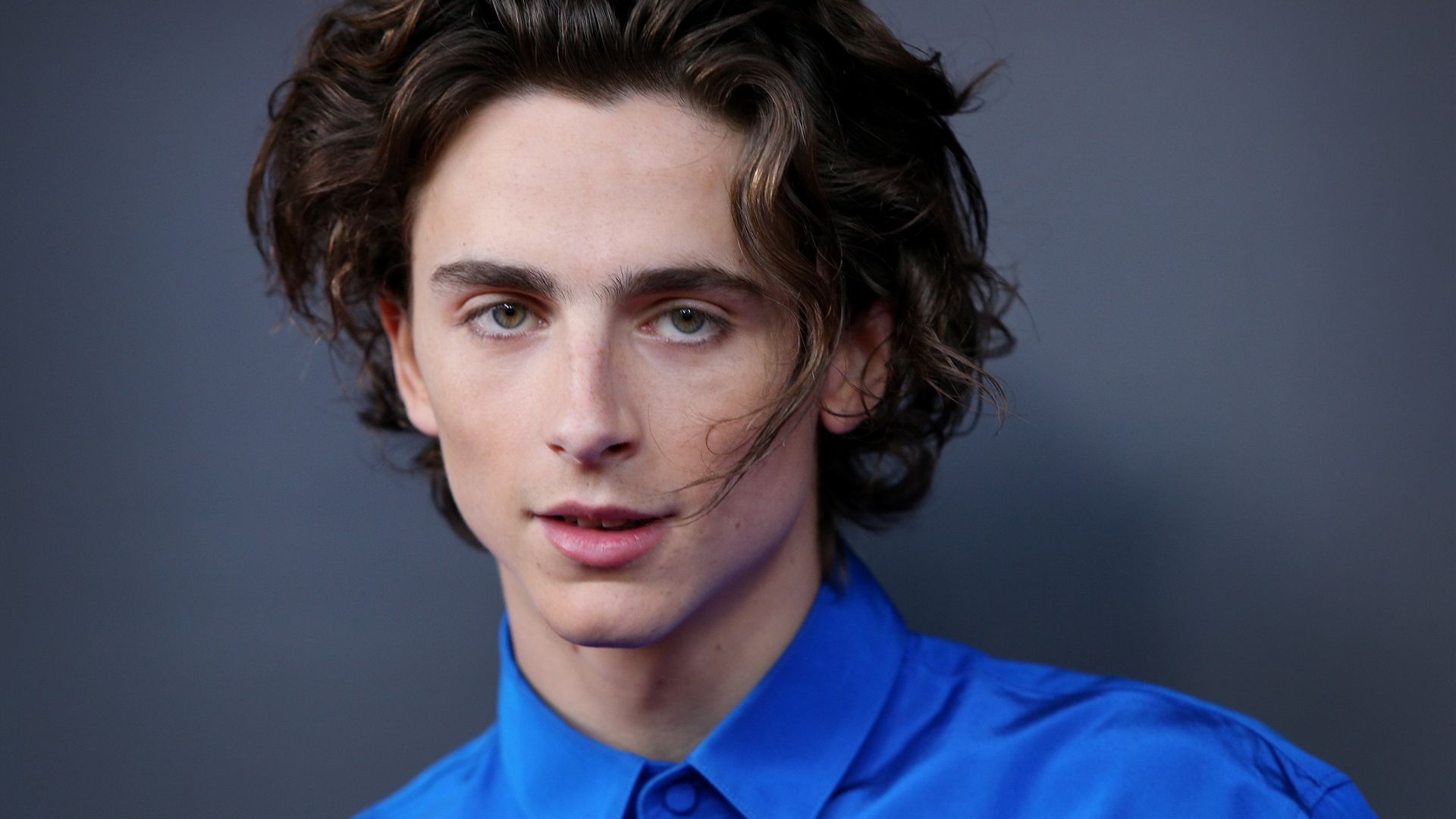 Timothée Chalamet – Capricornio según el Horóscopo