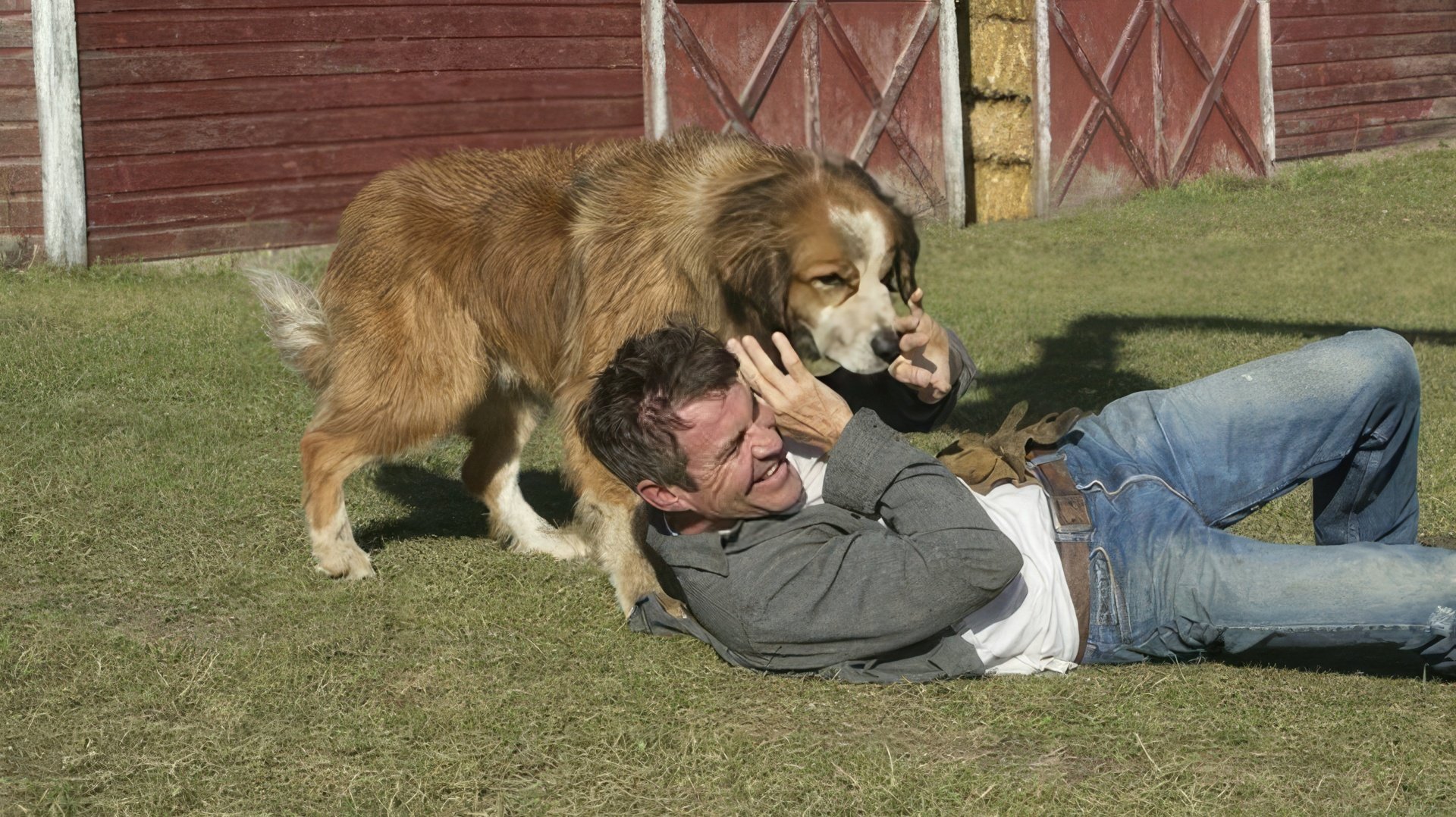 En la película 'A Dog's Purpose'