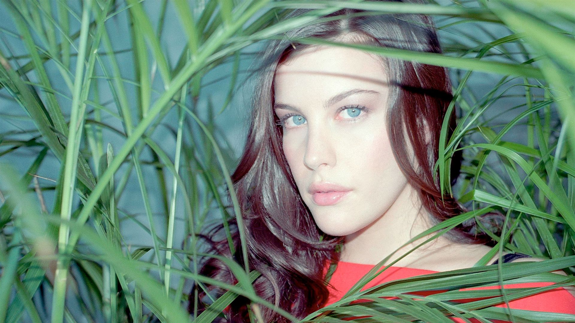El Signo Zodiacal de Liv Tyler es Cáncer