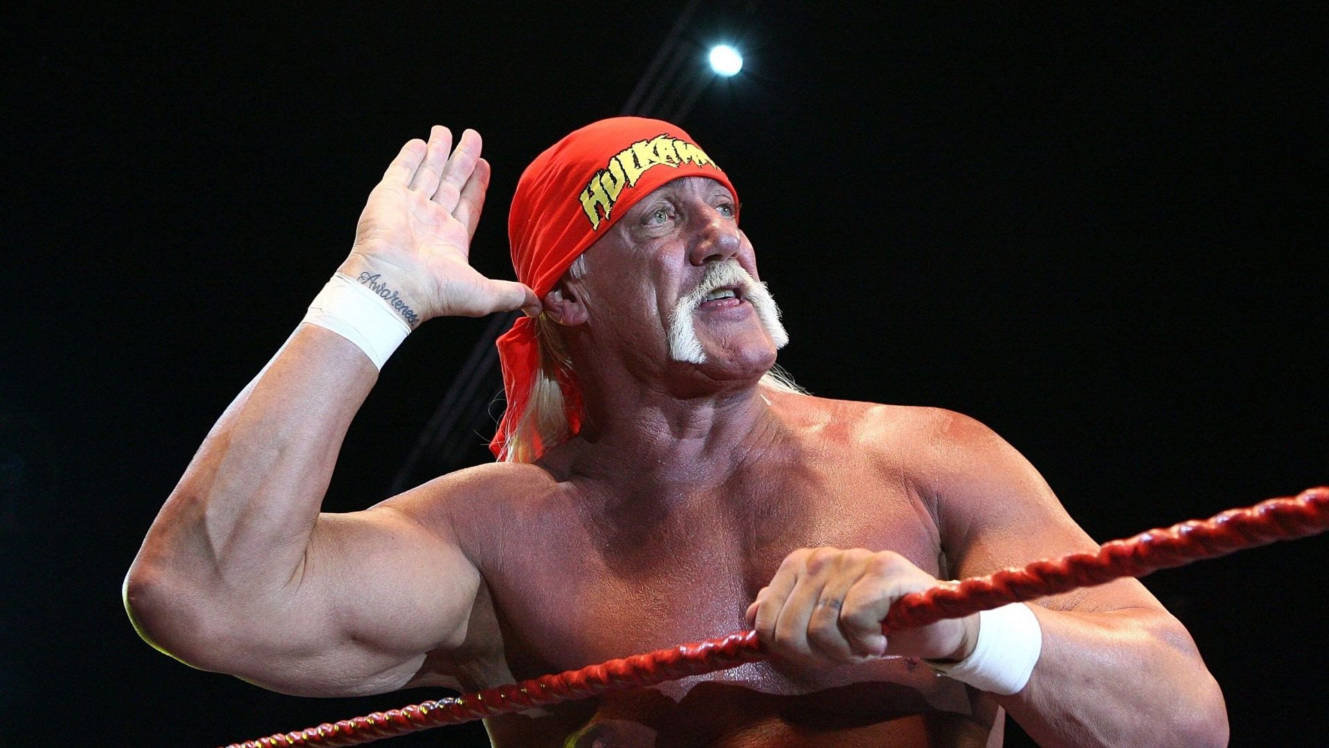 El famoso luchador Hulk Hogan ha fallecido