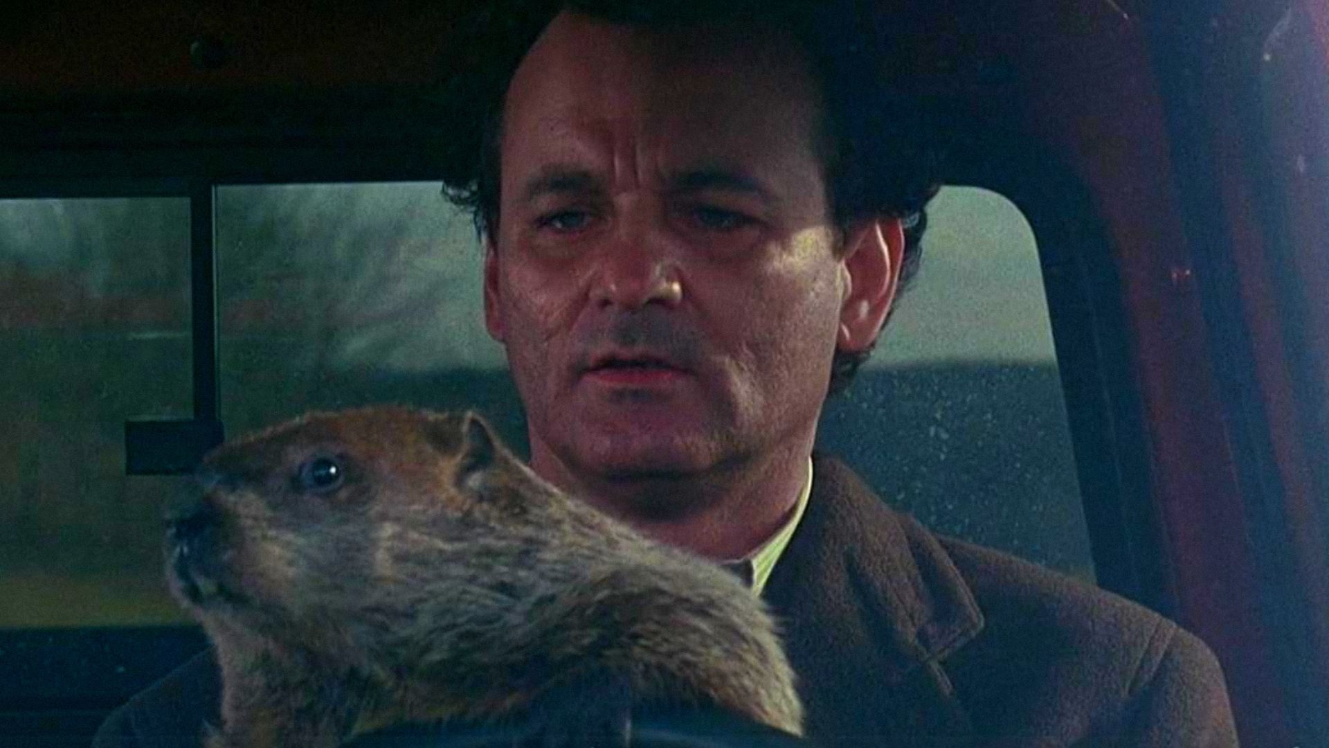 El actor Bill Murray con abrigo sentado al volante de un coche con una marmota