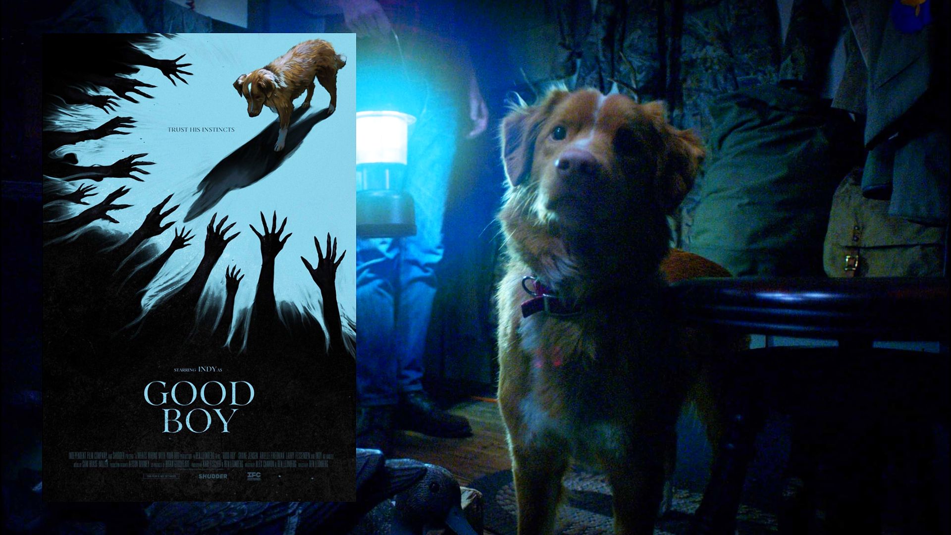 Póster de la película mostrando un perro rojizo mirando sombras de manos, con el mismo perro parado junto a personas con una linterna a la derecha