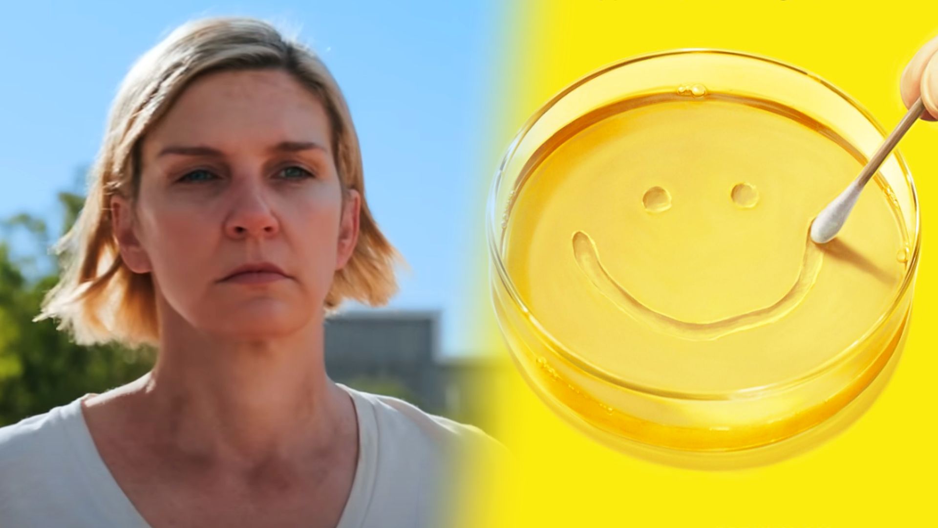 Placa de Petri sobre fondo amarillo, a la izquierda el rostro de la actriz Rhea Seehorn