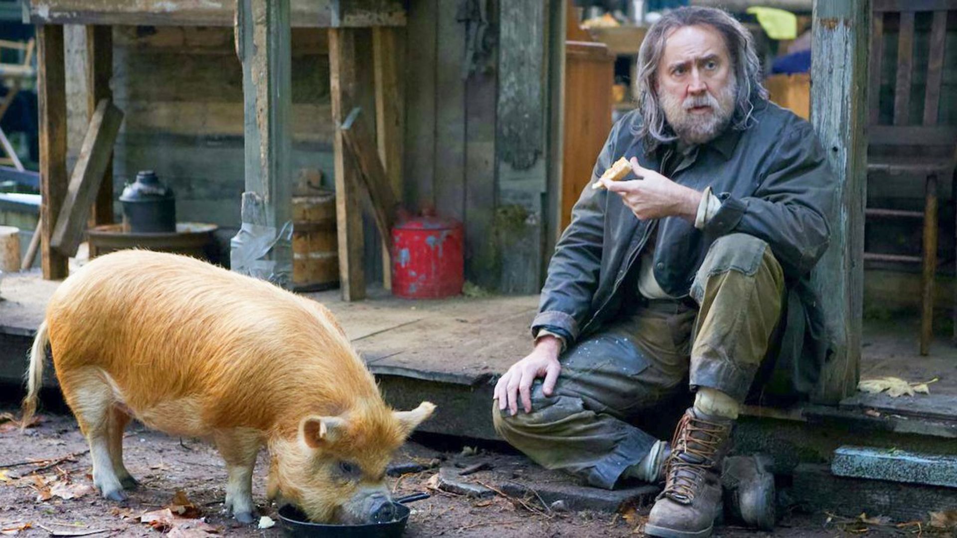 Nicolas Cage con barba sentado en el porche de una casa con comida en la mano junto a un cerdo comiendo de un tazón